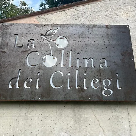 Casale La Collina Dei Ciliegi *